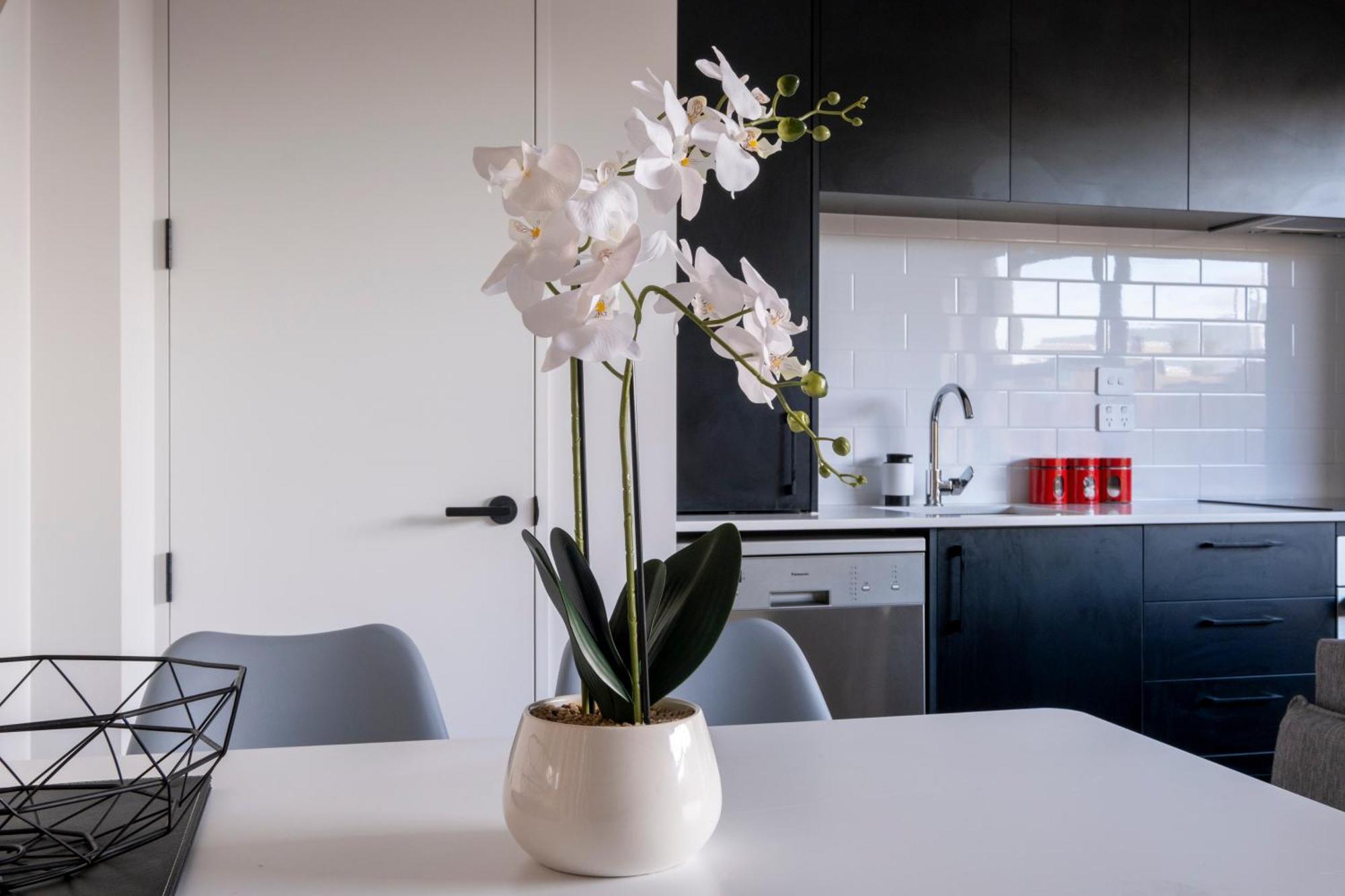 כרייסטצ'רץ' Luxury 2 Bed Townhome In Cbd מראה חיצוני תמונה