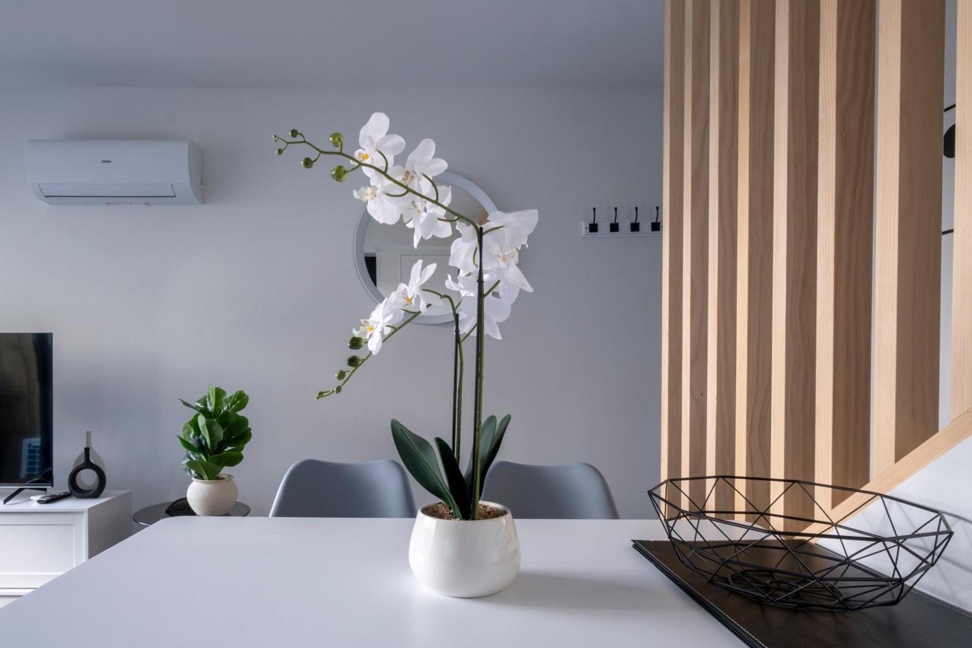 כרייסטצ'רץ' Luxury 2 Bed Townhome In Cbd מראה חיצוני תמונה